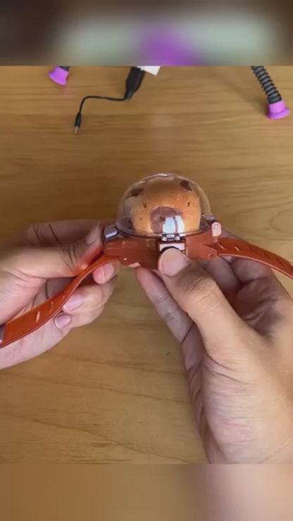 Pulseira Capivarando - CapiCar ®